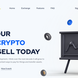 Shopify Starter X